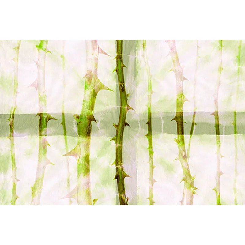 Sofort Bestellen Tadessi Fototapete Natur M1-No.60300 Digitaldruck Tapete Grün Weiß