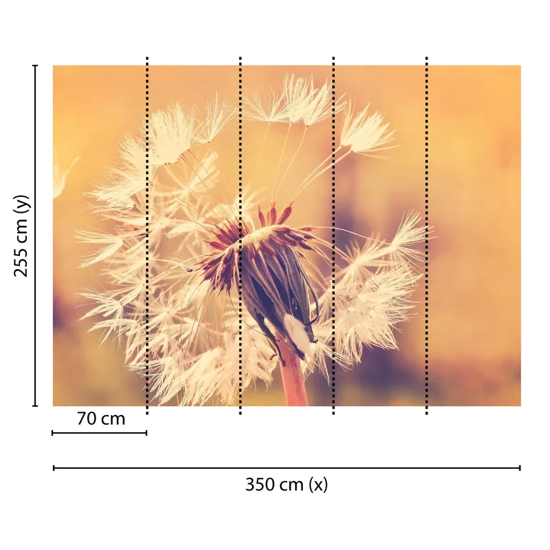 Mega-Angebot Tadessi Fototapete Blumen M1-No.60405 Digitaldruck Tapete Orange Weiß - Natur Pusteblume