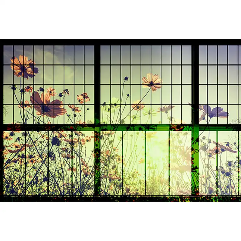 Tadessi Fototapete Fenster M1-No.60882 Digitaldruck Tapete Grün Schwarz - Blumenwiese Markenprodukt
