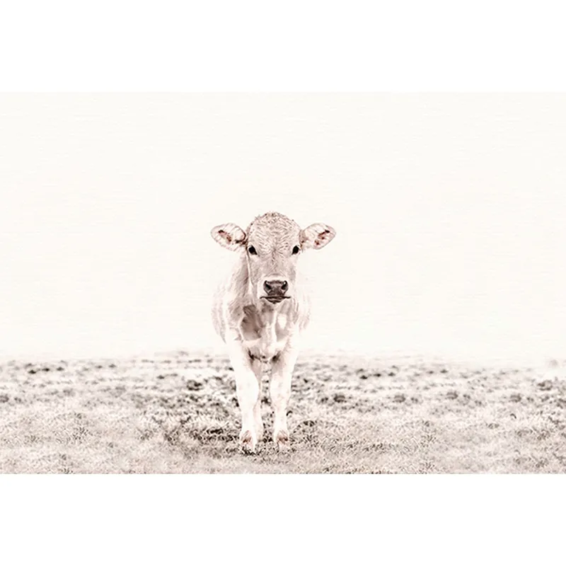Garantierte Lieferung Tadessi Fototapete Tiere M1-No.61029 Digitaldruck Tapete Weiß Grau - Natur