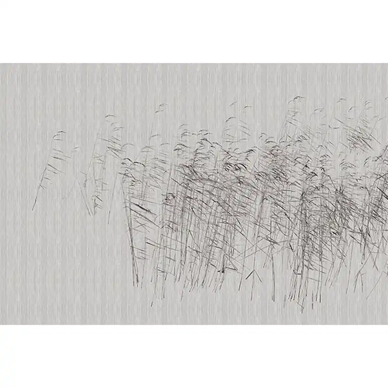 Sonderaktion Tadessi Fototapete Natur M1-No.61194 Digitaldruck Tapete Grau - Gräser