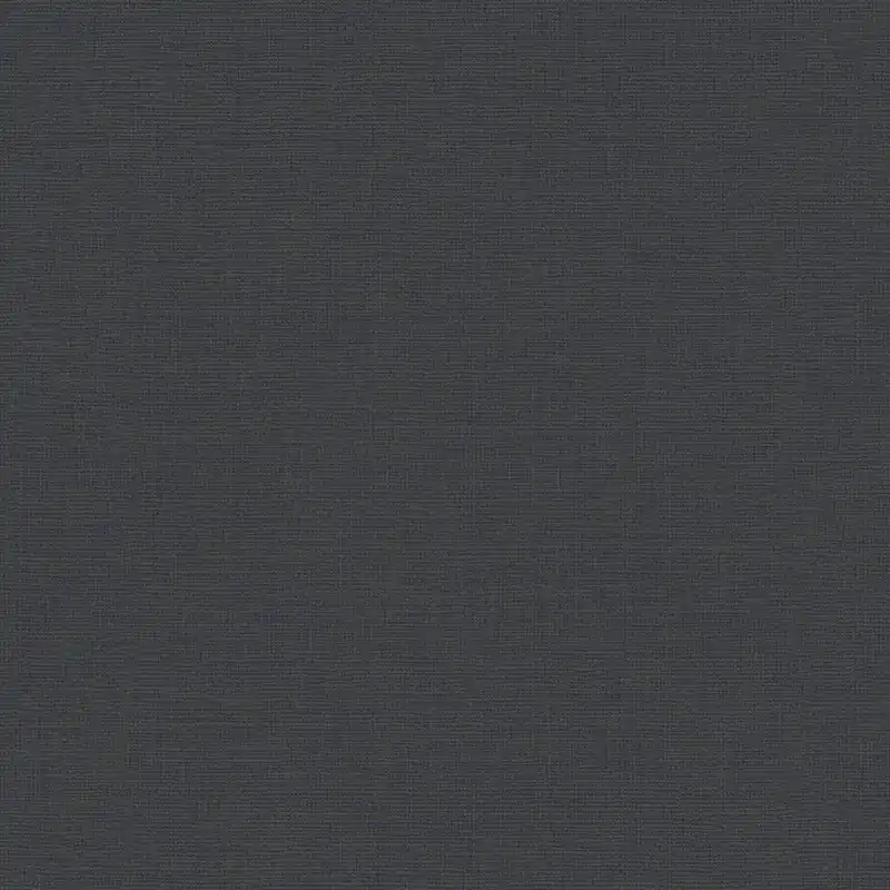 A.S. Creation | House of Turnowsky | 389029 | Vliestapete | Einfarbig | 10.05 x 0.53 m | Schwarz Neu Im Sortiment
