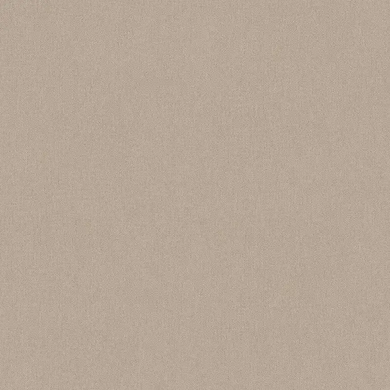 Echt A.S. Creation | Art of Eden | 377031 | Vliestapete | Einfarbig | 10.05 x 0.53 m | Beige