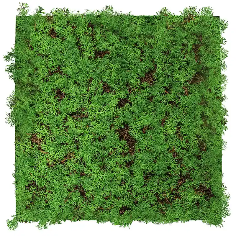JANGAL Modular Wall Akustik Wandpaneel 520 x 520 x 50 mm Thuja Tea Tree Naturfaser Pflanzenwand Preiswert