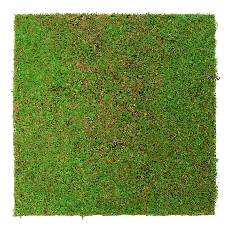 Bestpreis JANGAL Modular Wall Akustik Wandpaneel 520 x 520 x 50 mm Light Green Coconut Naturfaser Pflanzenwand