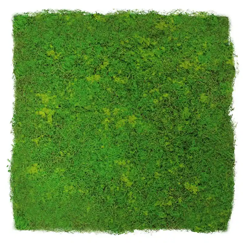 JANGAL Modular Wall Akustik Wandpaneel 520 x 520 x 30 mm Light Green Fibre Design Moos Pflanzenwand Aktuell