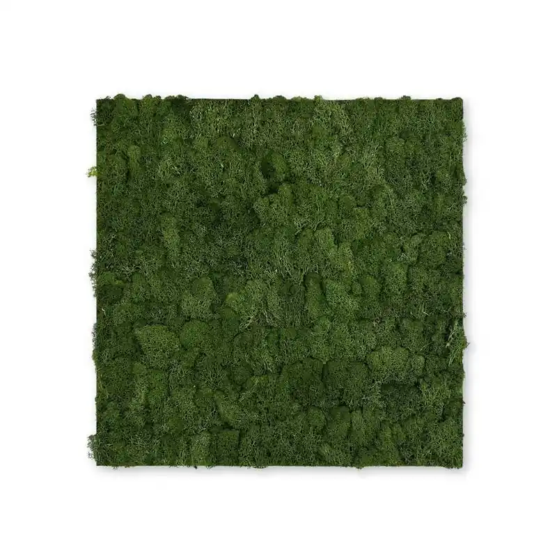 JANGAL Modular Wall Akustik Wandpaneel 520 x 520 x 40 mm Dark Green Moos Echtmoos Pflanzenwand Knallerangebot