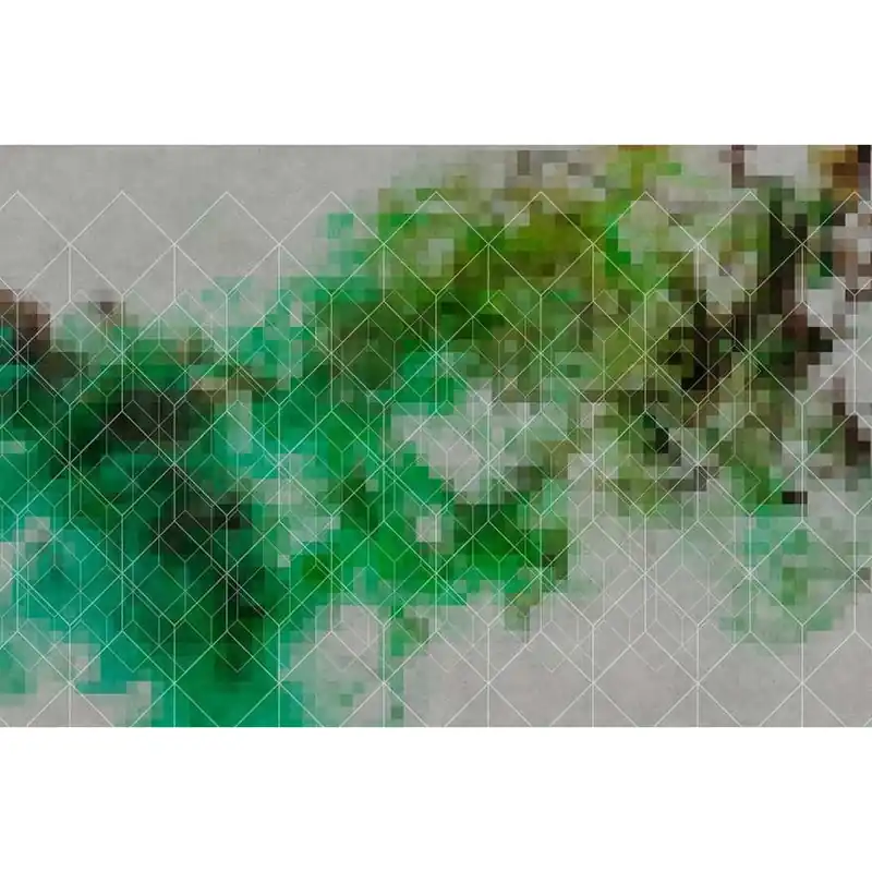 A.S. Creation | Walls by Patel 1 | DD110916 | Fototapete | Vlies | Versch. Größen | Abstrakt | Grün Sonderangebot