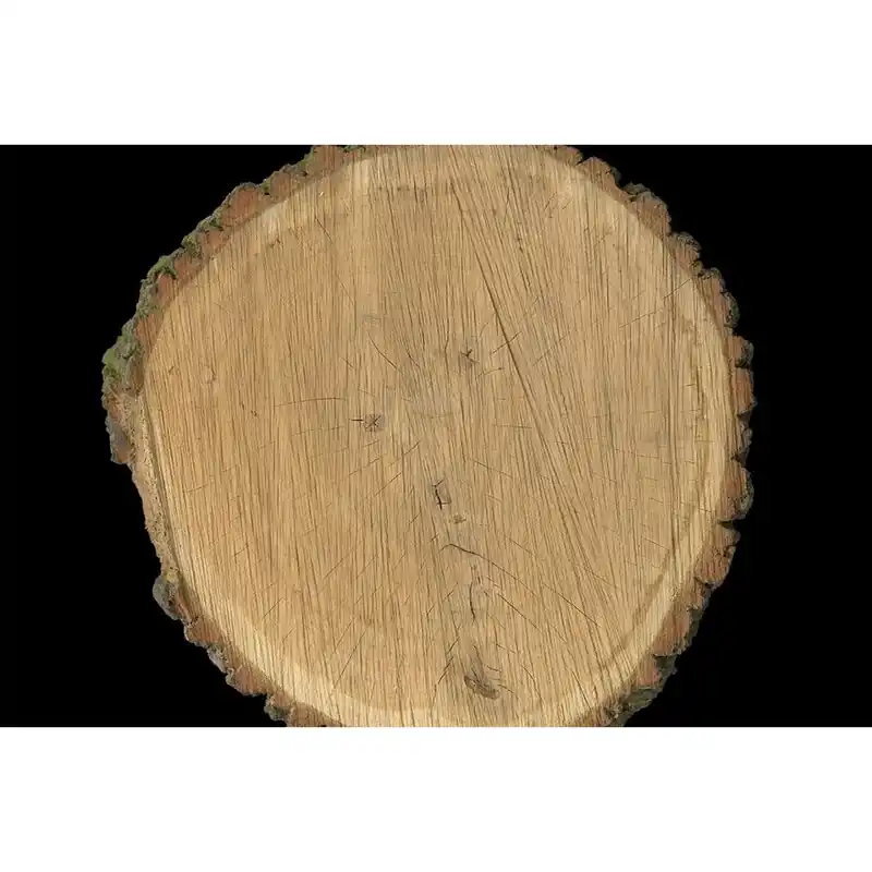 Highlight A.S. Creation | AP Digital 4 | DD108675 | Fototapete | Vlies | Versch. Größen | Holz | Braun