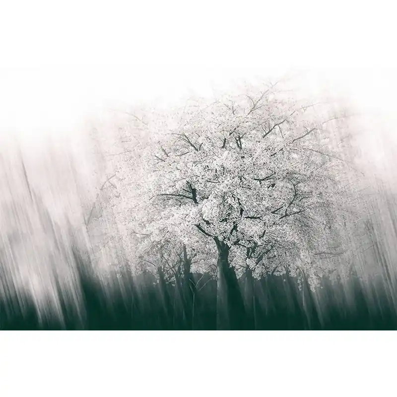 A.S. Creation | AP Digital 4 | DD109305 | Fototapete | Vlies | Versch. Größen | Wald & Pflanzen Knallerangebot
