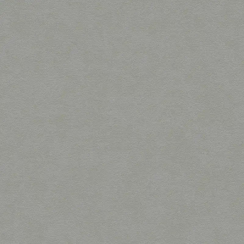 Vliestapete 399381 Grau Uni Einfarbig French Affair A.S. Creation Highlight