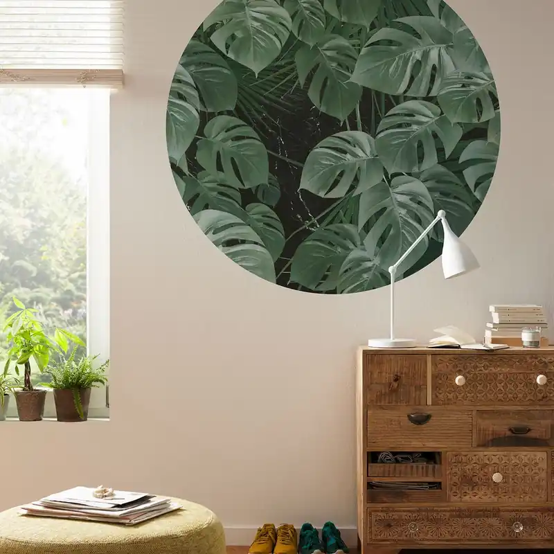 Letzte Chance Komar Fototapete Disney Dot Novel Monstera 125 x 125 cm Vlies Selbstklebend Blumen Blätter Floral