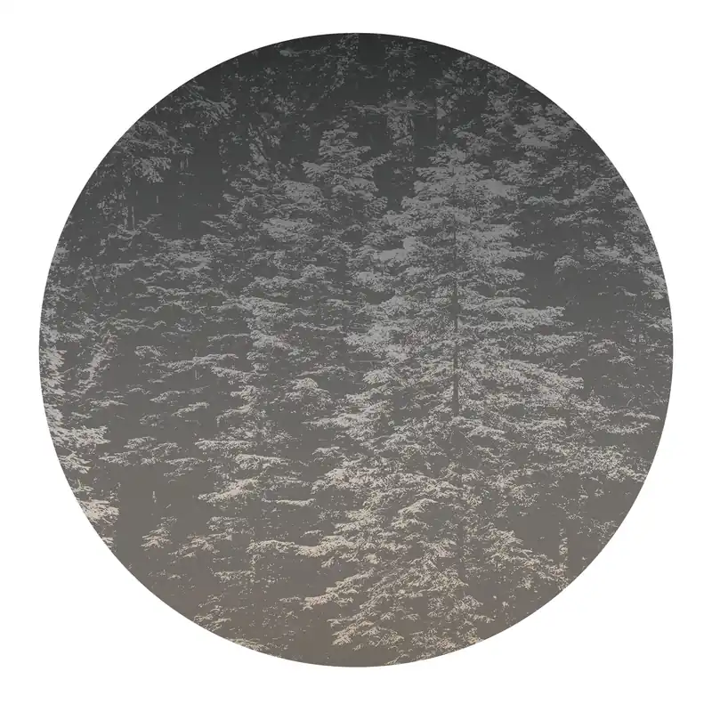 Echt Fototapete Vlies 2553N-72 Natur Landschaft 1.5 x 2.7 m Fashion for Walls Erismann