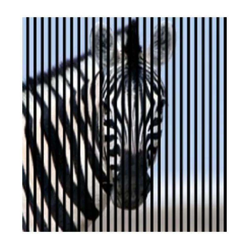 Akustikpaneele mit Digitaldruck Zebra Wandpaneele Schwarz Weiß Blau in versch. Größen Abverkauf