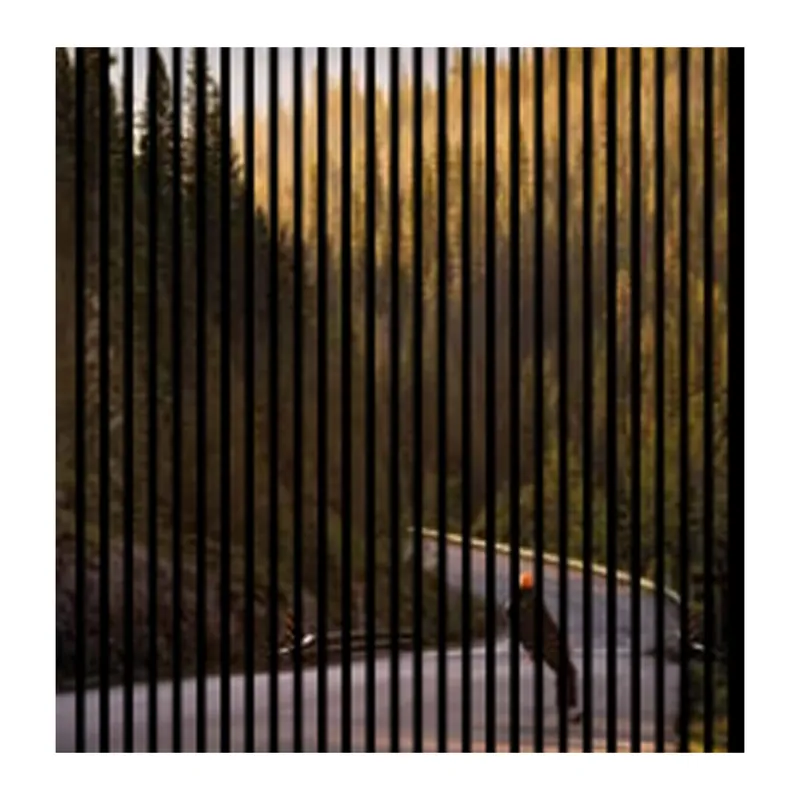 Knallerangebot Akustikpaneele mit Digitaldruck Skateboard Natur Wandpaneele Grün Grau in versch. Größen