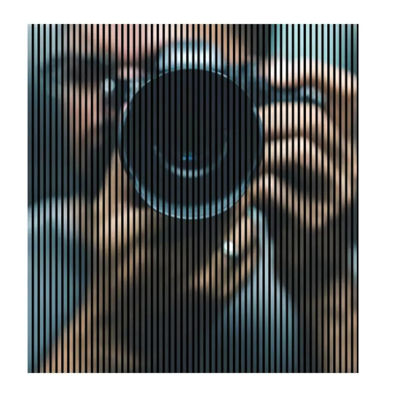 Letzte Chance Akustikpaneele mit Digitaldruck Foto Kamera Mensch Wandpaneele Grau Beige in versch. Größen