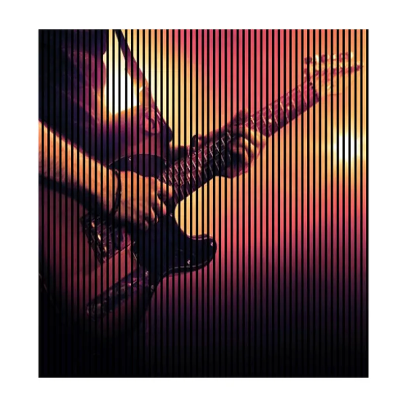 Billig Akustikpaneele mit Digitaldruck Gitarre Musik Wandpaneele Orange Rot in versch. Größen