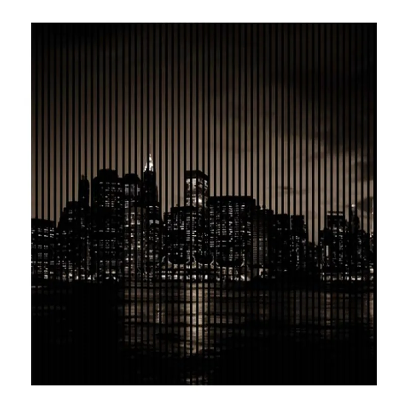 Akustikpaneele mit Digitaldruck New York Skyline Nacht Wandpaneele Schwarz in versch. Größen Billig