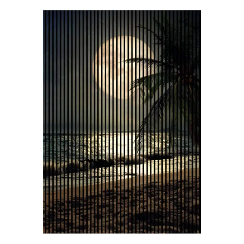 Jetzt Bestellen Akustikpaneele mit Digitaldruck Mond Strand Palme Wandpaneele Schwarz Braun Gelb in versch. Größen
