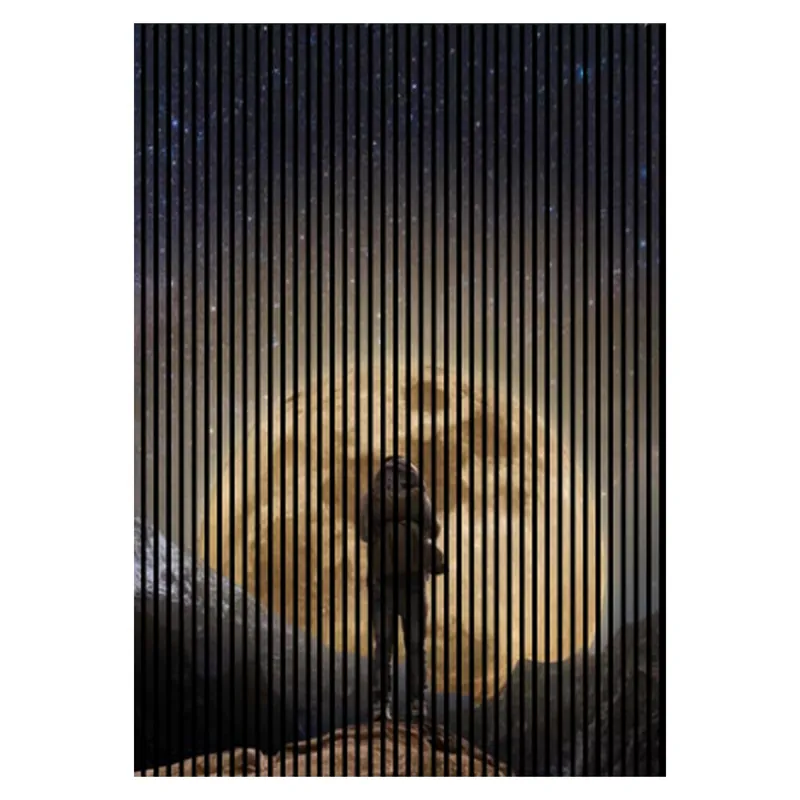 Akustikpaneele mit Digitaldruck Mond Sterne Mensch Wandpaneele Schwarz Braun in versch. Größen Versand Am Gleichen Tag