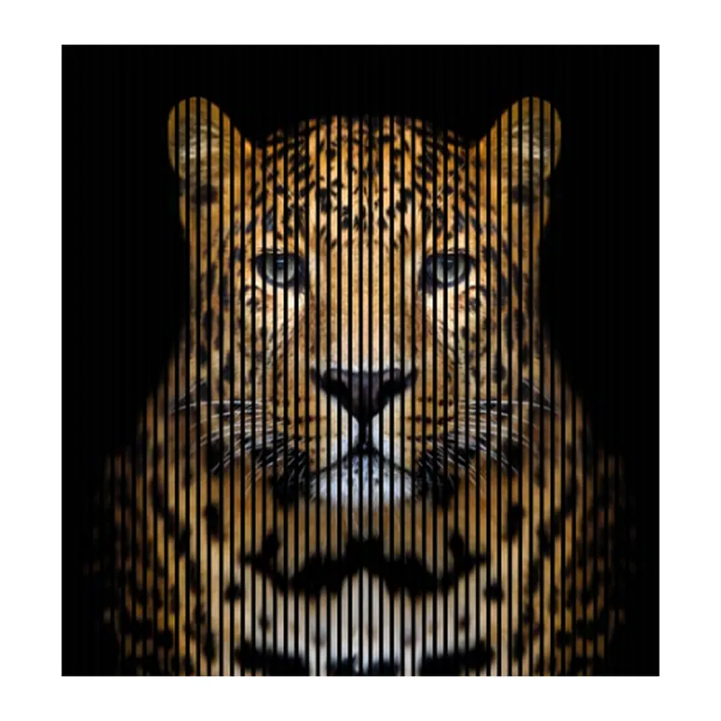 Sonderangebot Akustikpaneele mit Digitaldruck Leopard Wandpaneele Schwarz Braun in versch. Größen