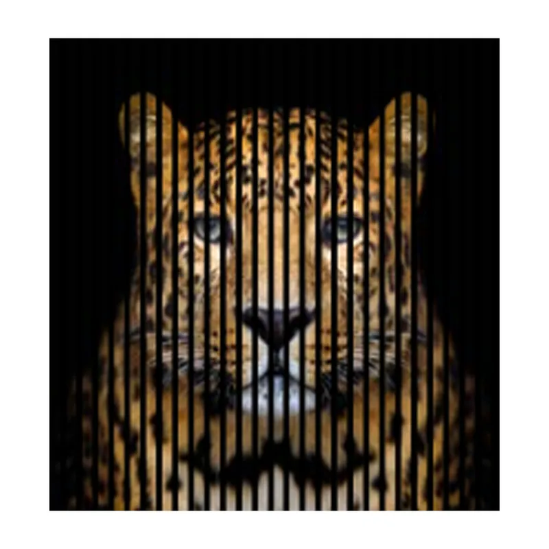 Sofort Bestellen Akustikpaneele mit Digitaldruck Leopard Wandpaneele Schwarz Braun in versch. Größen