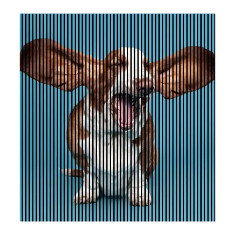 Akustikpaneele mit Digitaldruck Hund Wandpaneele Blau Braun in versch. Größen Bestseller