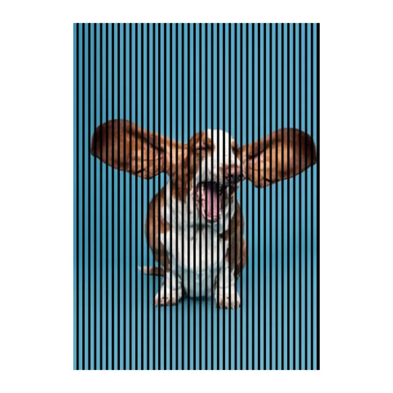 Akustikpaneele mit Digitaldruck Hund Wandpaneele Blau Braun in versch. Größen Mega-Angebot