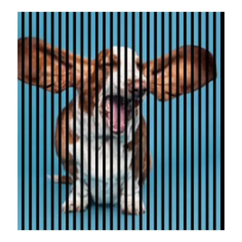 Akustikpaneele mit Digitaldruck Hund Wandpaneele Blau Braun in versch. Größen Kracherpreis