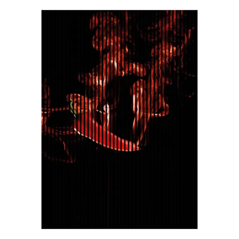 Bestseller Akustikpaneele mit Digitaldruck Feuer Chilli Wandpaneele Rot Schwarz in versch. Größen