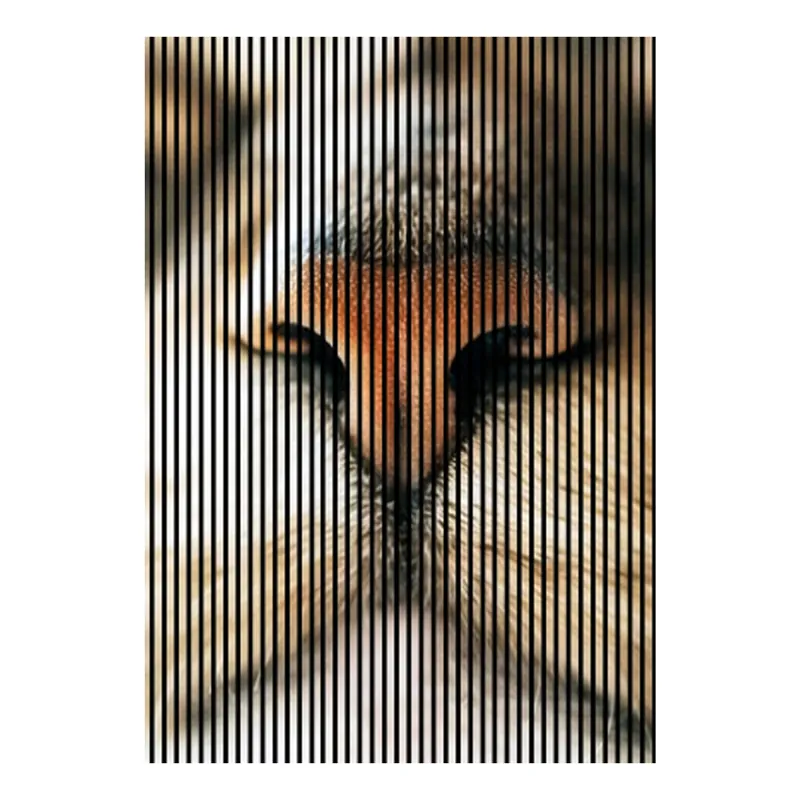 Saisonangebot Akustikpaneele mit Digitaldruck Katze Wandpaneele Braun in versch. Größen