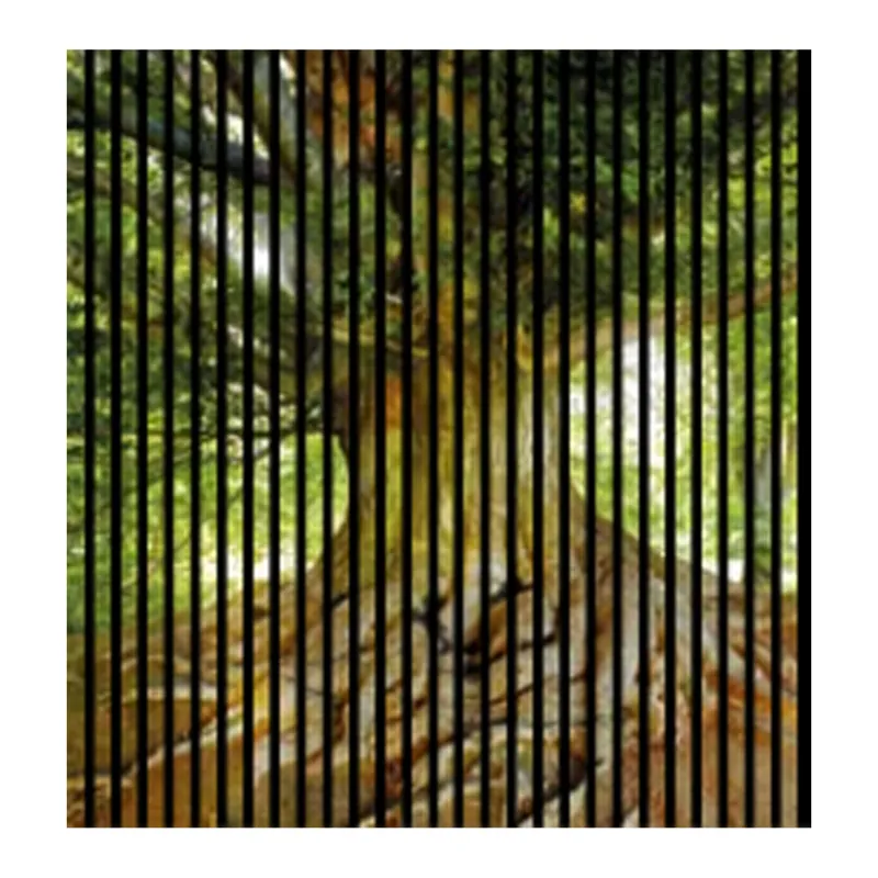 Sonderaktion Akustikpaneele mit Digitaldruck Baum Wandpaneele Grün Braun in versch. Größen