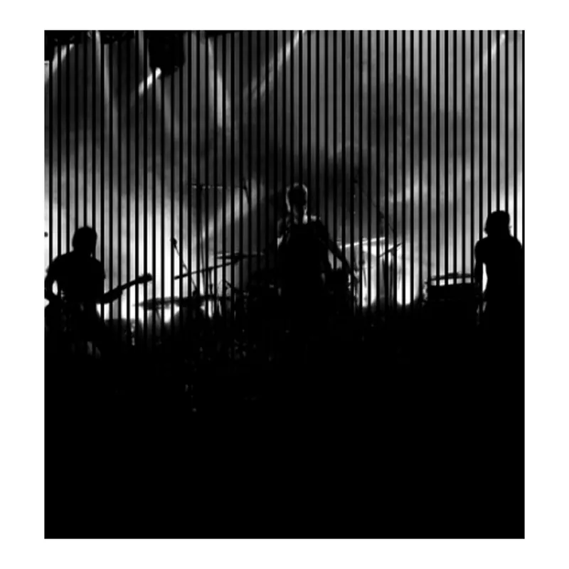 Angebot Akustikpaneele mit Digitaldruck Konzert Band Musik Wandpaneele Schwarz Weiß in versch. Größen