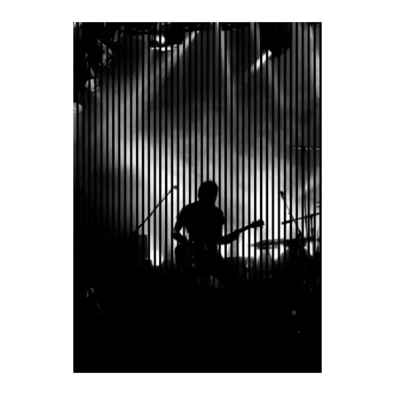 Knallerangebot Akustikpaneele mit Digitaldruck Konzert Band Musik Wandpaneele Schwarz Weiß in versch. Größen