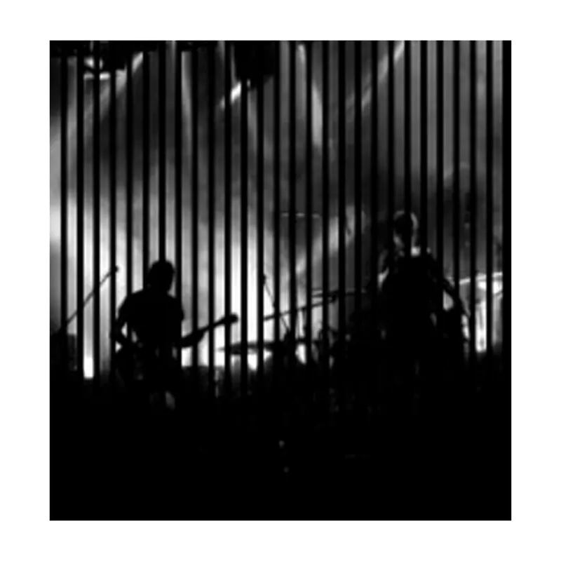 Top-Angebot Akustikpaneele mit Digitaldruck Konzert Band Musik Wandpaneele Schwarz Weiß in versch. Größen