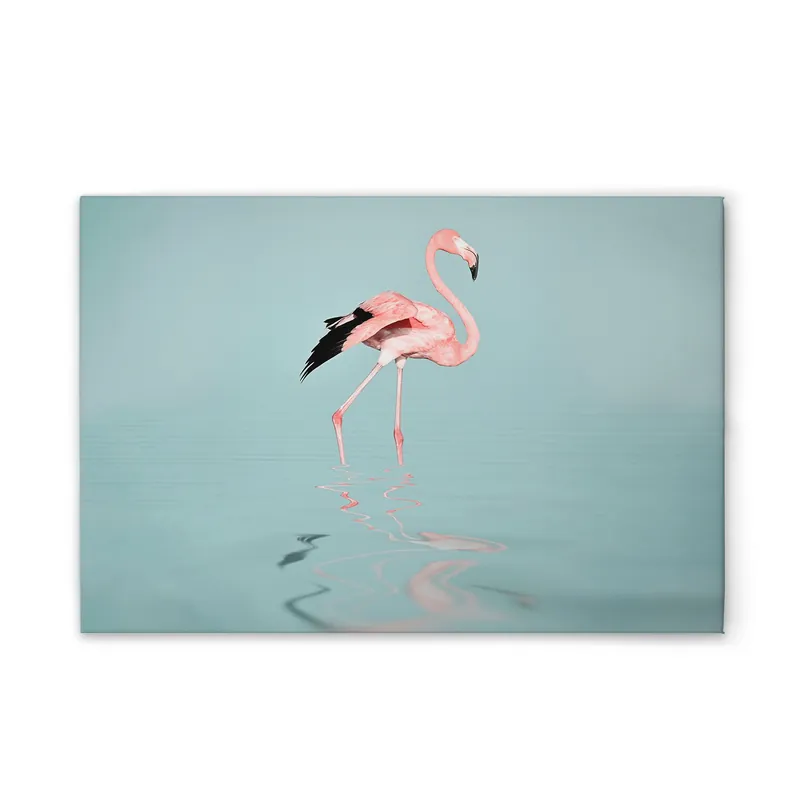 Nur Heute Tadessi Leinwandbild Flamingo im Wasser - 120 x 80 cm - M1-No.51080 - Keilrahmen in Blau Rosa