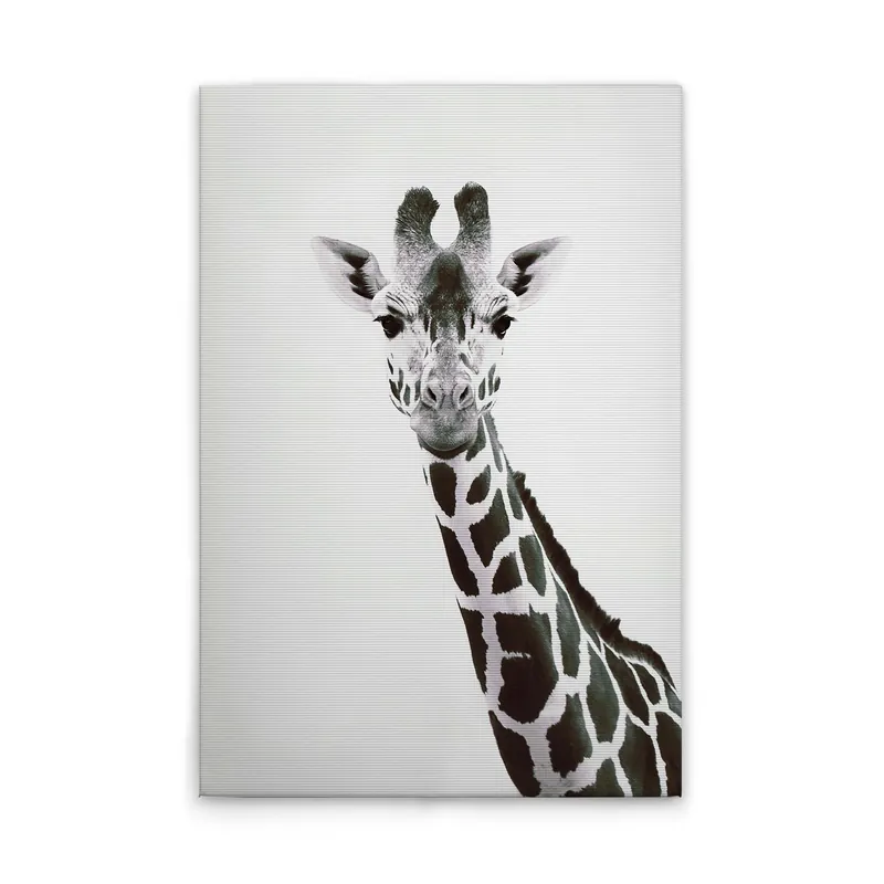 Zertifiziert Tadessi Leinwandbild Tiere Giraffe - 30 x 45 cm - M1-No.51126 - Keilrahmen in Schwarz Weiß