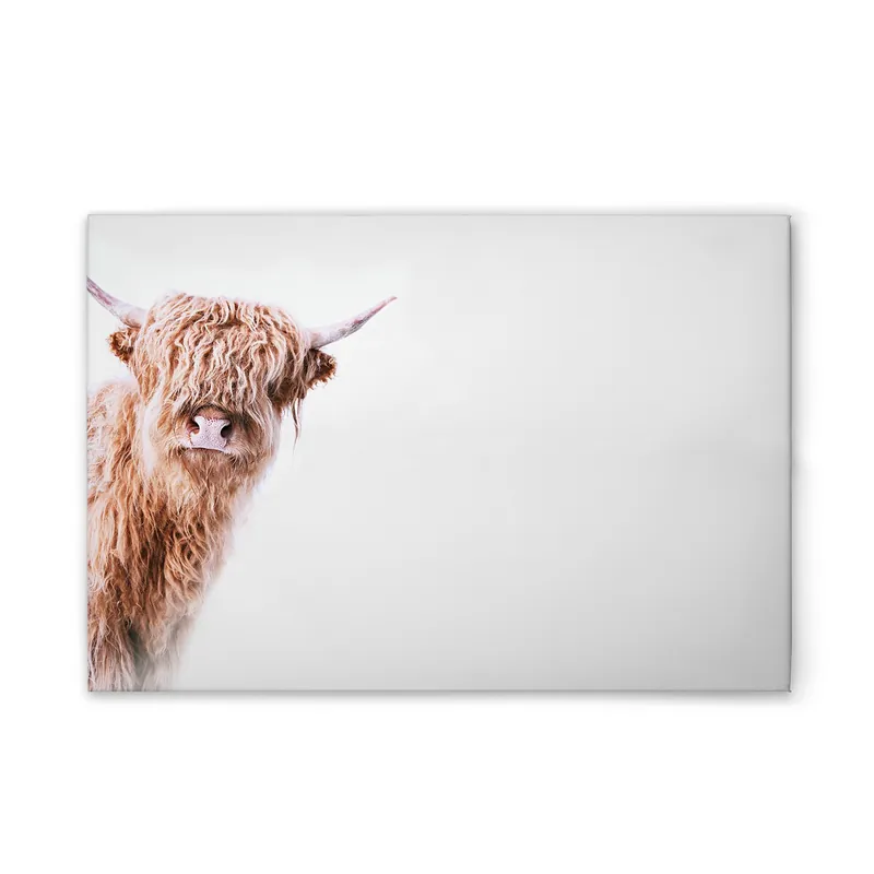 Aktuell Tadessi Leinwandbild Tiere Kuh - 60 x 40 cm - M1-No.51142 - Keilrahmen in Weiß Braun