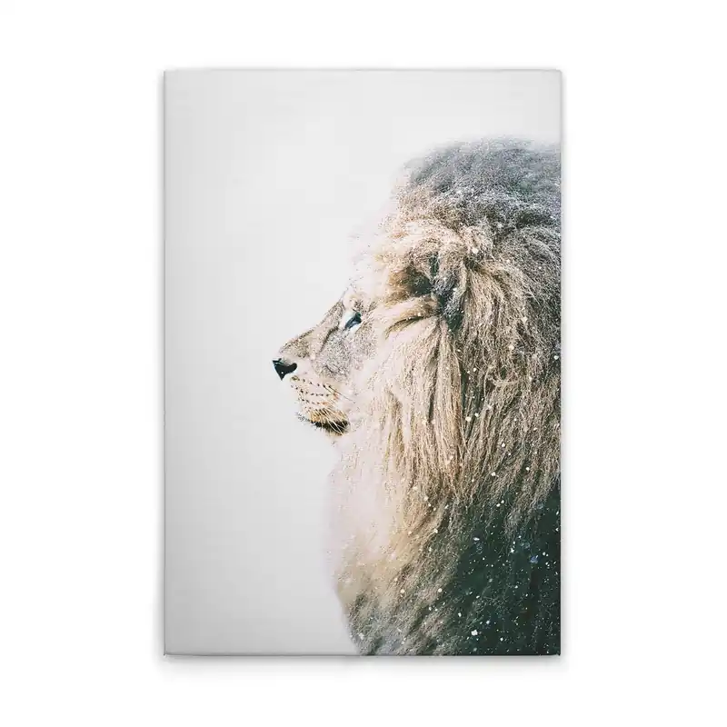 Tadessi Leinwandbild Tiere Löwe - 30 x 45 cm - M1-No.51091 - Keilrahmen in Weiß Creme Sonderangebot