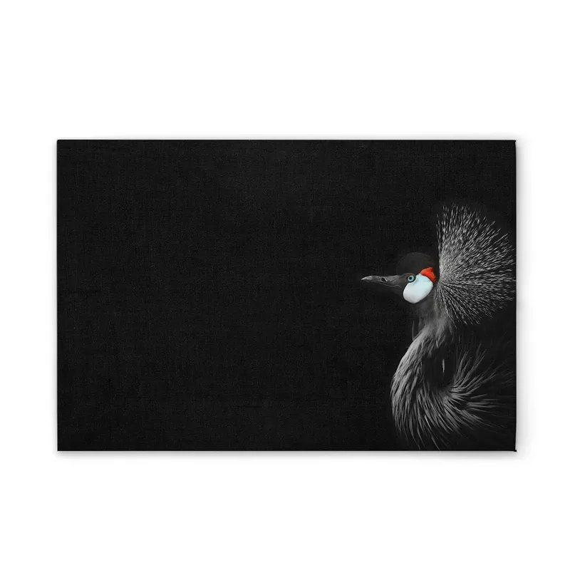 Sonderaktion Tadessi Leinwandbild Tiere Kranich - 45 x 30 cm - M1-No.51106 - Keilrahmen in Schwarz Weiß