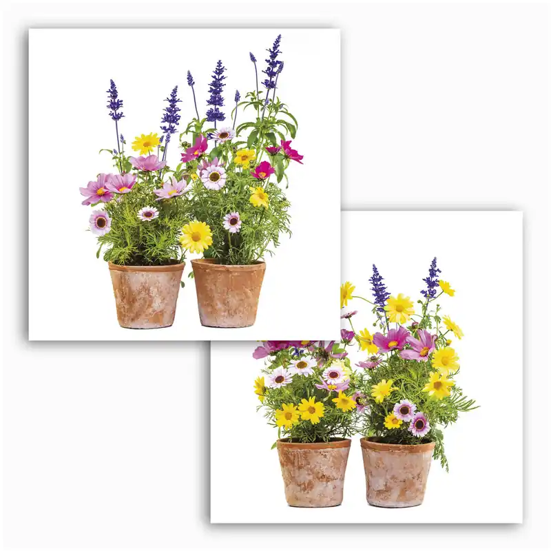 Preis Gesenkt Komar Fenstersticker - Springtime - 31 x 31 cm - Fensteraufkleber - Natur