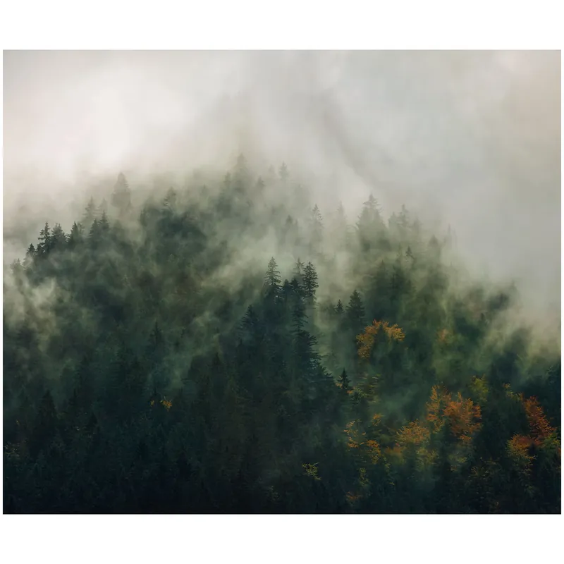 Komar Fototapete - Tales of the Carpthians - 250 x 300 cm - Vlies Digitaldruck - Natur Preis Gesenkt