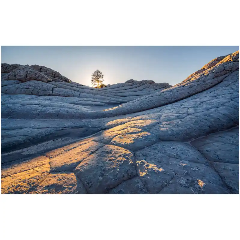 Beliebt Komar Fototapete - Elephant Skin - 250 x 400 cm - Vlies Digitaldruck - Rustikal Natur