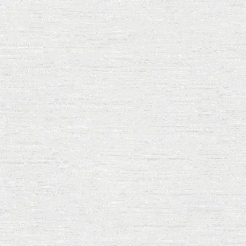 Vliestapete 1056301 Grau Uni Einfarbig Forest Dreams Erismann Highlight