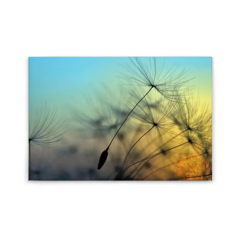 Tadessi Leinwandbild Pusteblume Natur - 60 x 90 cm - M1-No.50031 - Keilrahmen in Gelb Blau Mega-Angebot