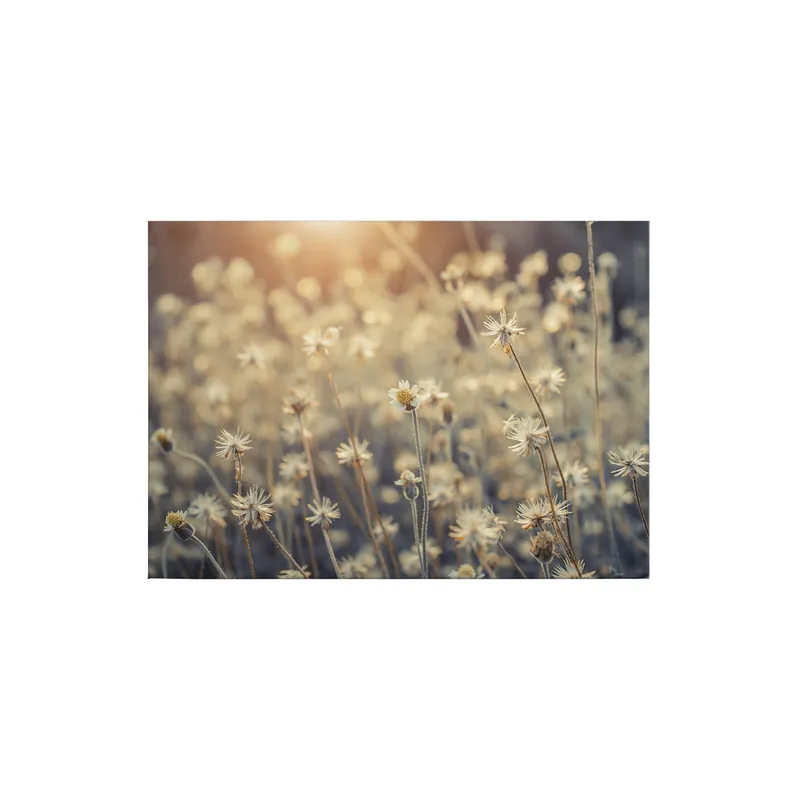 Bestpreis Tadessi Leinwandbild Natur - 50 x 70 cm - M1-No.50283 - Keilrahmen in Beige Weiß