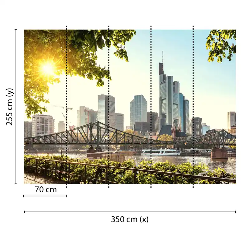 Tadessi Fototapete Stadt M1-No.60422 Digitaldruck Tapete Blau Braun - Frankfurt Skyline Finale Aktion