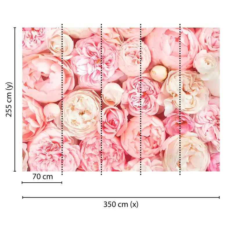 Tadessi Fototapete Blumen M1-No.60487 Digitaldruck Tapete Rosa Weiß - Rosen Nur Heute