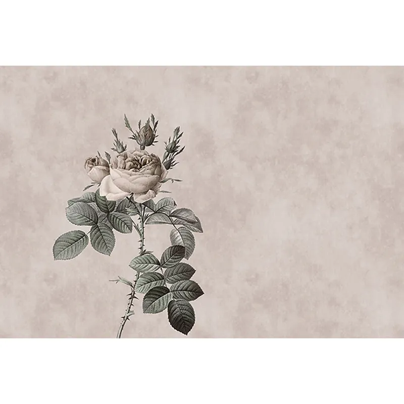 Ausverkauf Tadessi Fototapete Blumen M1-No.60677 Digitaldruck Tapete Creme Grün - Rosen