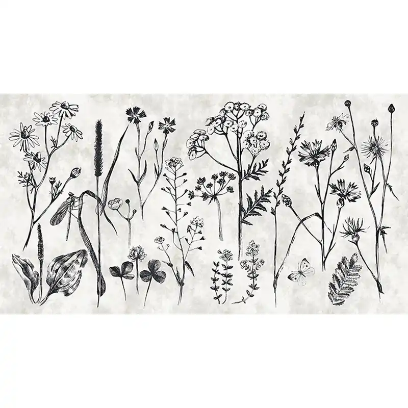 Tadessi Fototapete Blumen M1-No.60680 Digitaldruck Tapete Weiß Schwarz Jetzt Kaufen